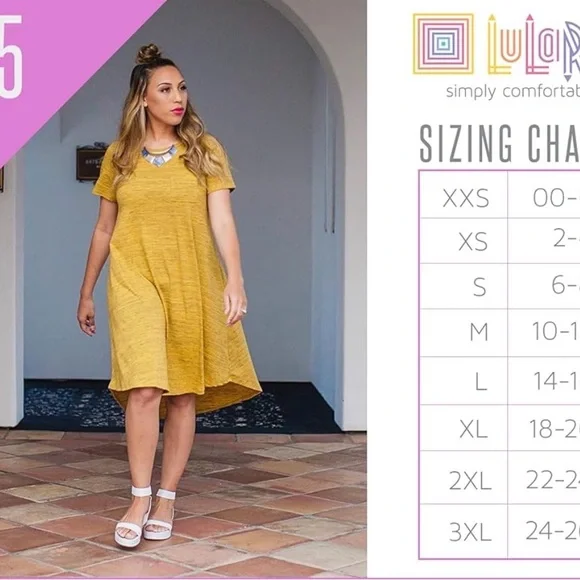 Brand New LuLaRoe L Gray Carly Dress - Picture 5 of 5